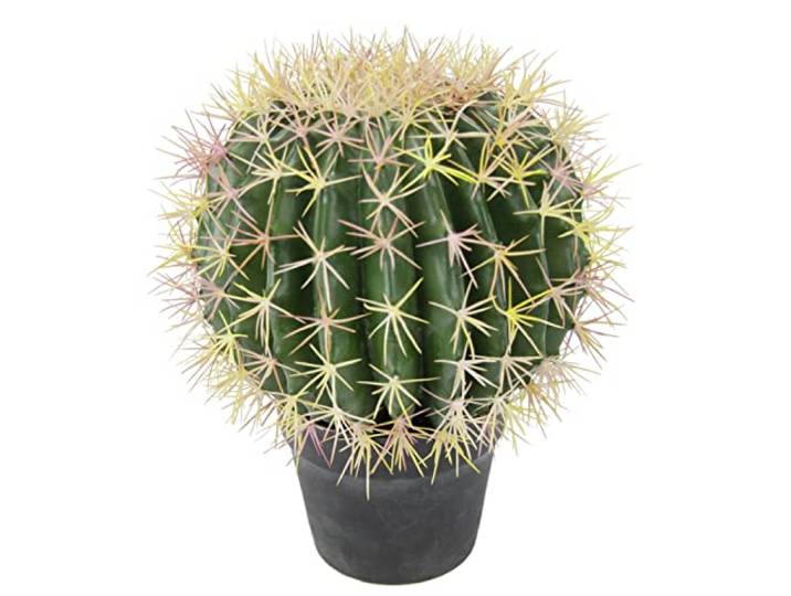 Flair Flower Kugelkaktus im Topf Kunstkaktus gefälschte Kaktusfeige Künstlich Knolliger Stacheliger Kaktus Dekoration Aloe Vera Schwiegermuttersessel Schwiegermuttersitz E 151587GN Grün 33x26x26 cm