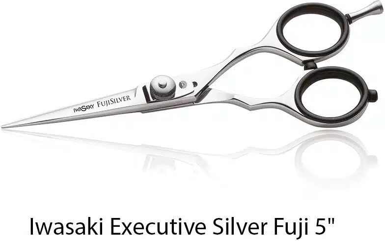 Forbici 5" per capelli Acciaio Giapponese AISI 430 extra lucido IWASAKI EXECUTIVE SILVER FUJI