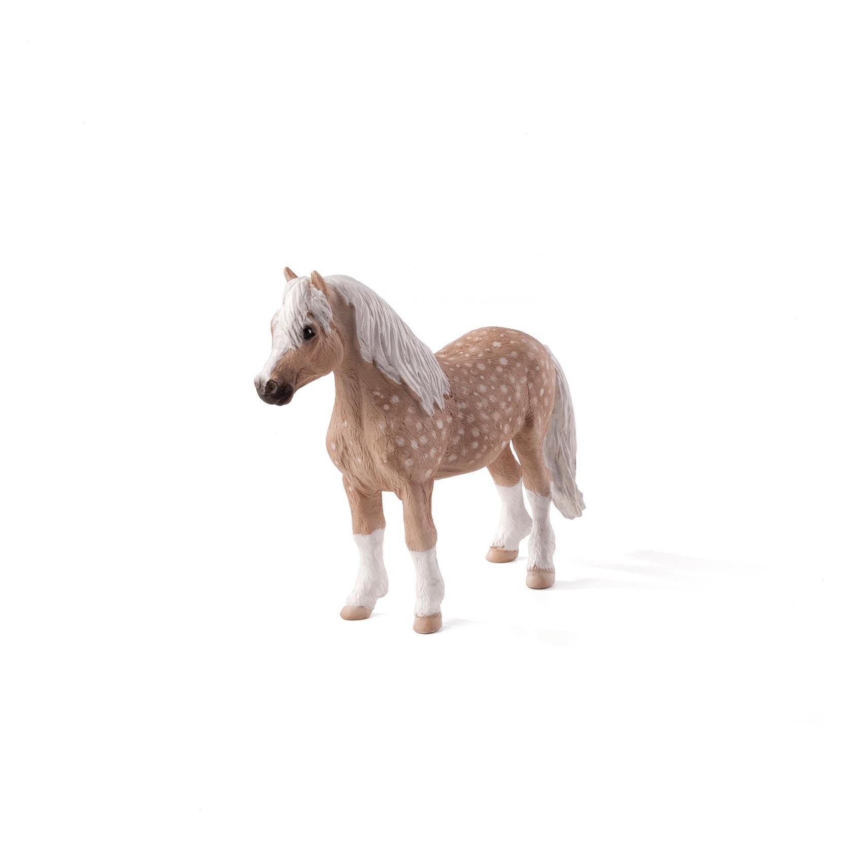 Mojo Welsh Pony (387282)
