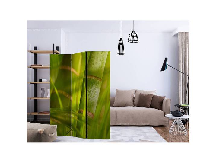 Paravent Bamboo Nature Zen Vlies / Buche Grün 135 x 172cm