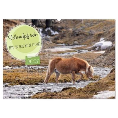 Islandpferde - Reise in ihre wilde Heimat (Wandkalender 2027 DIN A2 quer), CALVENDO Monatskalender