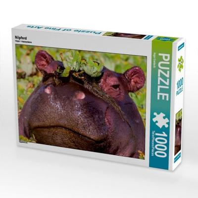 CALVENDO Puzzle Nilpferd | 1000 Teile Lege-Größe 64x48cm Foto-Puzzle für glückliche Stunden