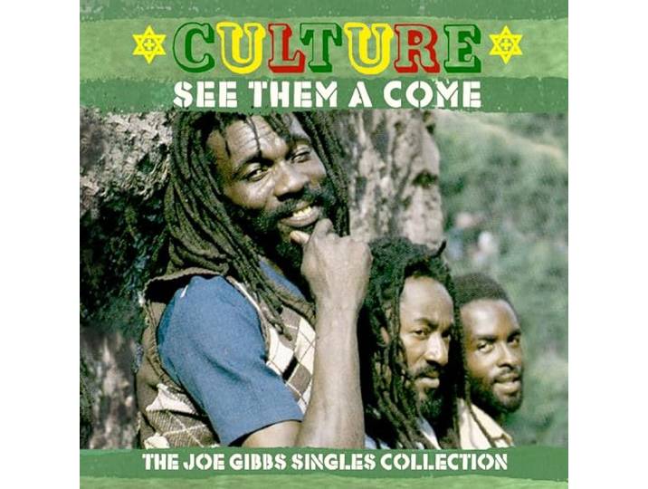 SEE THEM A COME - THE JOE GIBBS SINGLES COLLECTION 2CD