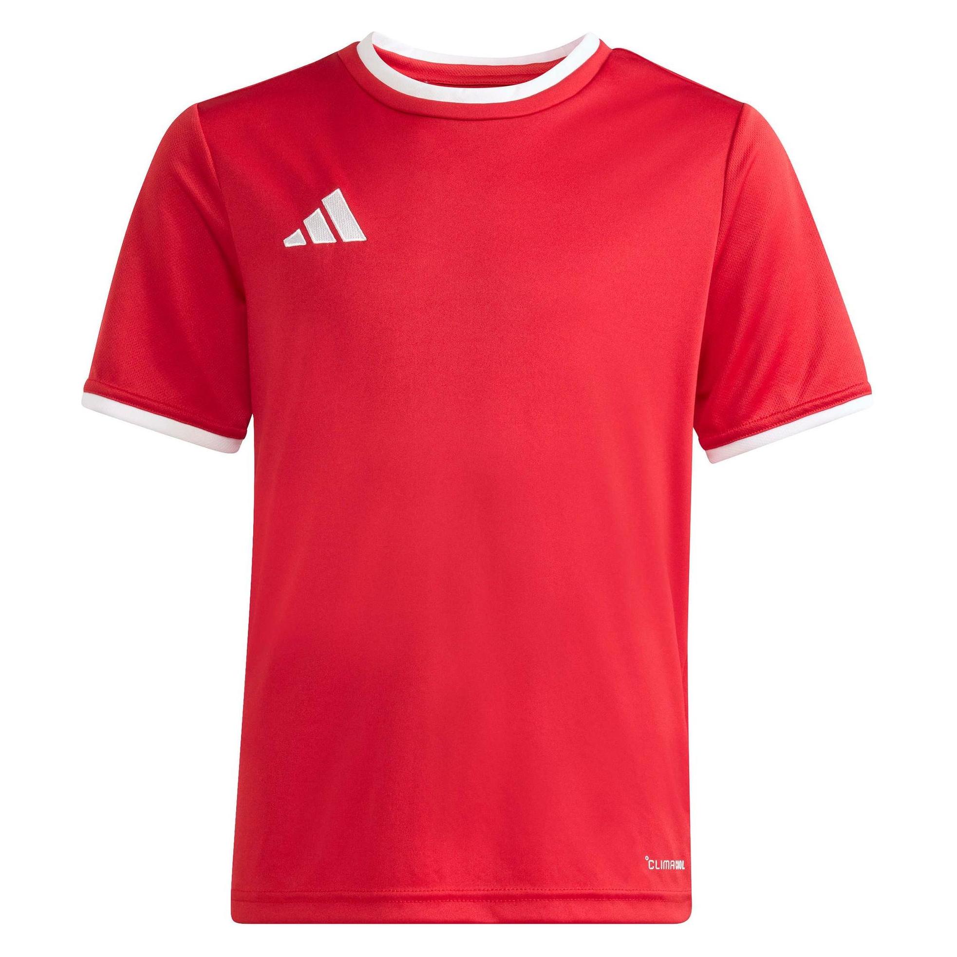 Adidas Junior Entrada T-Shirt (140) (JZ2523)