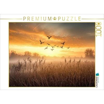 CALVENDO Puzzle Gänse ziehen im Morgenlicht über nebelverhangene Wiesen - ein fliegender Neubeginn | 1000 Teile Lege-Größe 64x48cm Foto-Puzzle für glü