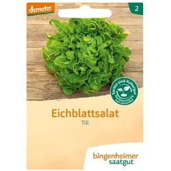 Bingenheimer Saatgut Eichblattsalat Till demeter