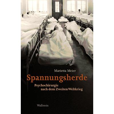 Spannungsherde, Gebundene Ausgabe von Marietta Meier, Wallstein Verlag, 978-3-8353-1733-8