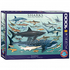 eurographics Puzzle - Haie - 1000 Teile 300701