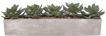 Jenny Silks Faux Echeverias with Pebbles Succulent In Rectangular Pot - Green