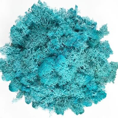 Inspire Select Artificial Reindeer Moss Decor Faux Green Moss For Crafts, Potted Plants & Wall Art water Blue 2.1 Oz