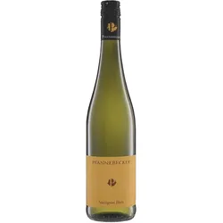Sauvignon Blanc Pfannebecker 2025 BIO