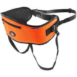 i-DOG Canicross One Gamme (Hund, Hundesport), Halsband + Leine
