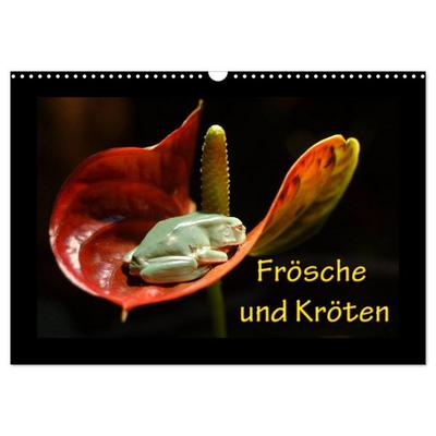 Frösche und Kröten (Wandkalender 2026 DIN A3 quer), CALVENDO Monatskalender