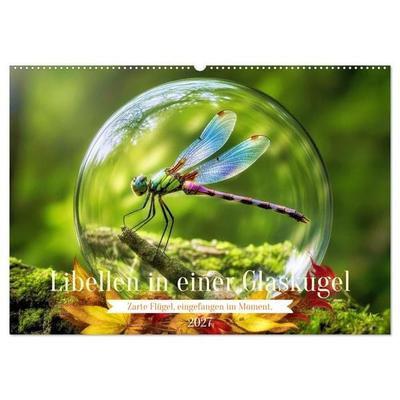 Libellen in einer Glaskugel (Wandkalender 2027 DIN A2 quer), CALVENDO Monatskalender