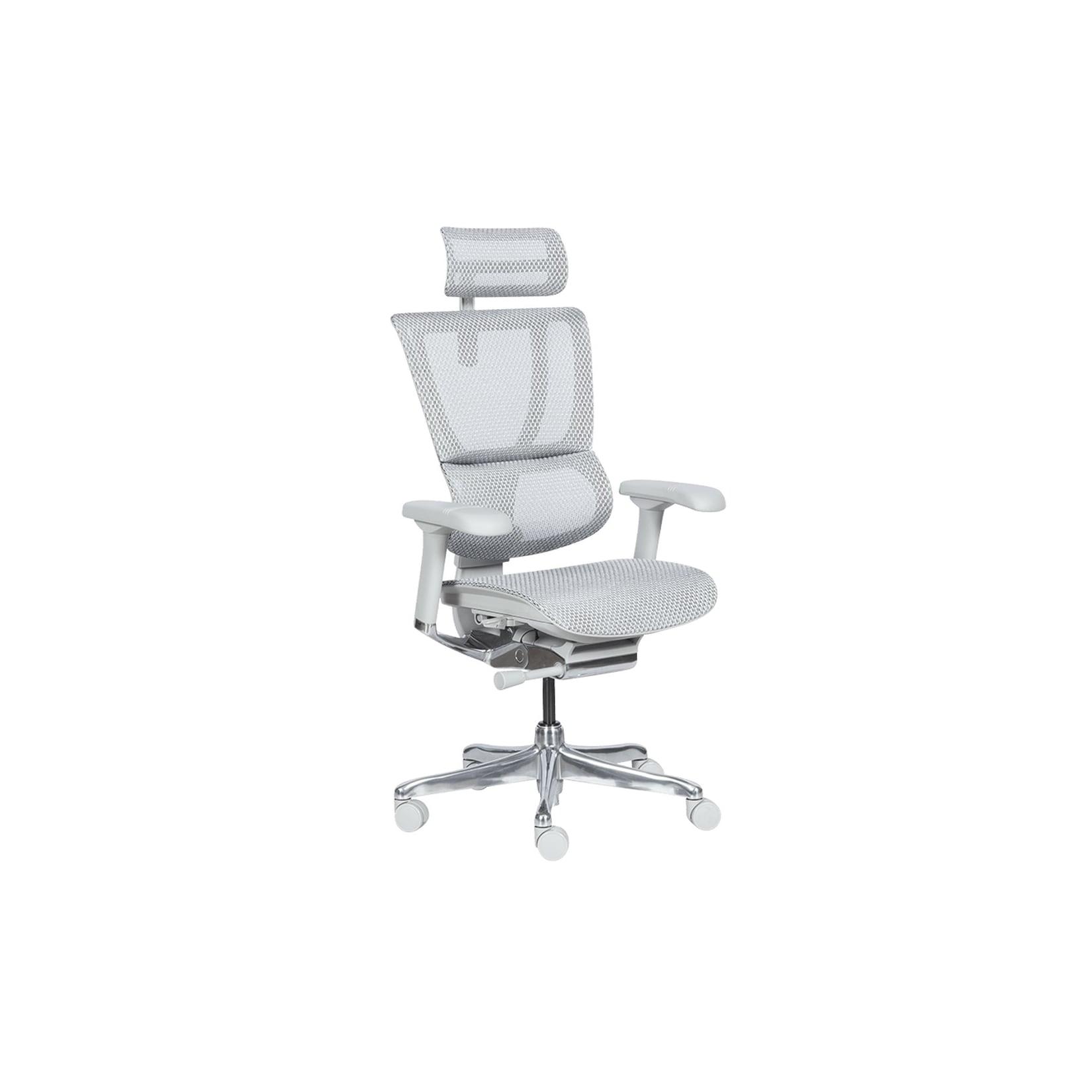 Ergohuman IOO ELITE 2 Ergonomischer Bürostuhl – Grau