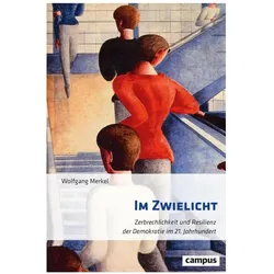 Im Zwielicht, Fachbücher von Wolfgang Merkel