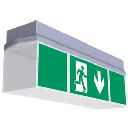 Rp-Group, Sicherheitskennzeichnung, LED-Rettungszeichenleuchte