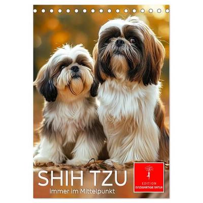 Shih Tzu - immer im Mittelpunkt (Tischkalender 2027 DIN A5 hoch), CALVENDO Monatskalender