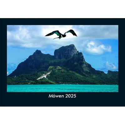 Möwen 2025 Fotokalender DIN A5