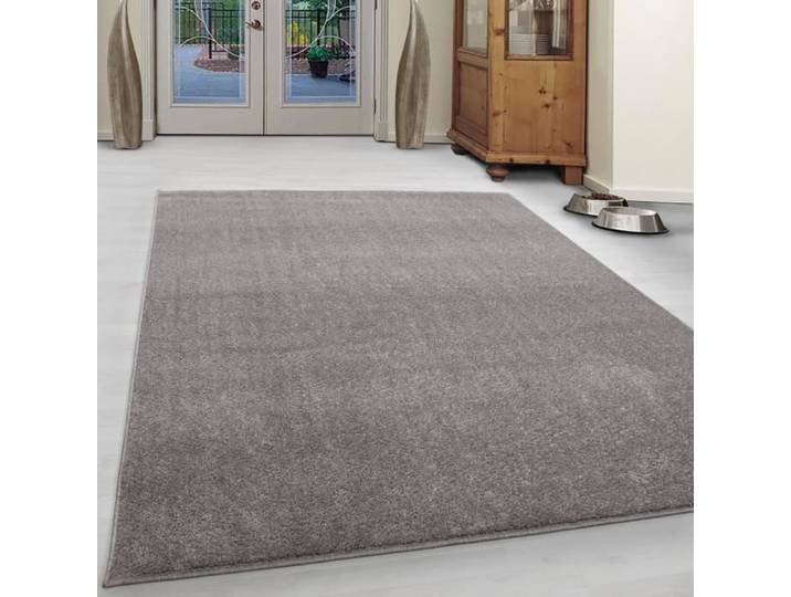 Tapis moderne uni beige - Simplement Textiles - 240x340 cm - 100% polypropylène - Résistant