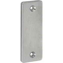 Amf, Türgriff + Türgarnitur, Blindrosette für alle Schlösser/Schlosskästen 87x32x6mm Edelstahl matt