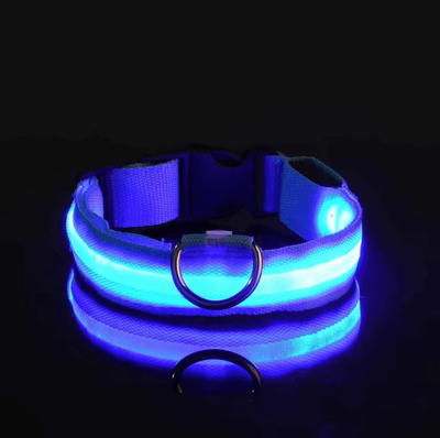 Uplift Curations Nylon Luminous Dog Leash And Glow In The Dark Dog Collar LED Safety Pet Leash For Night Walking blue xs