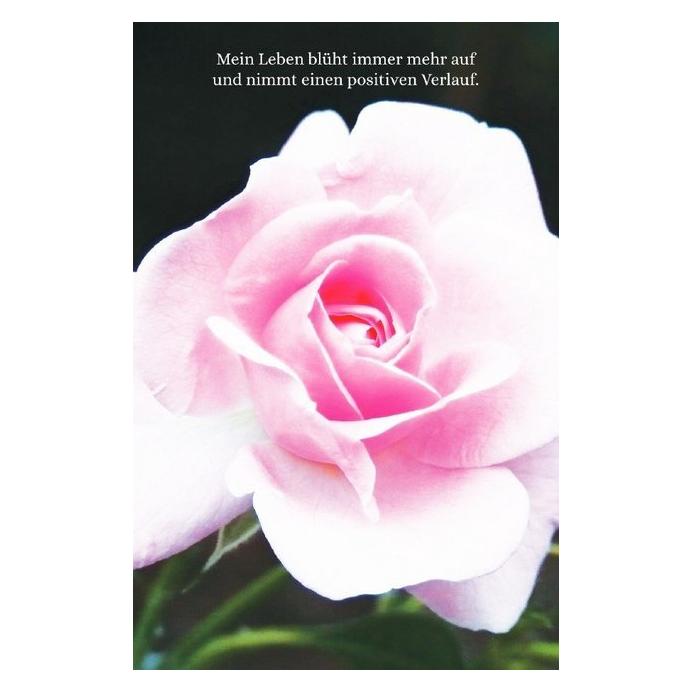 epubli Schreibwandel Notizbuch 'rosa Rose' (mit Reim-Affirmation) (12,5 x 19 cm, Gepunktet) (56047124)