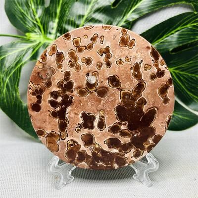 On Spot Shop Hand Polished Natural Rock Picture Stone Round Coasters, Abstract Spiritual Healing Witchcraft Decor, Holiday & Home 2