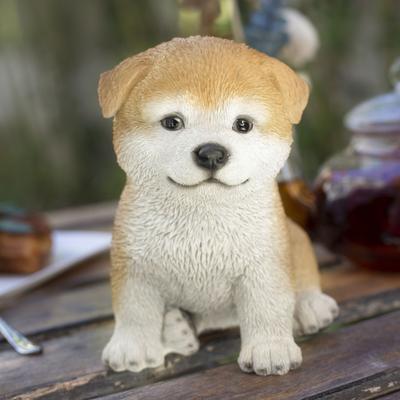 Hi-Line SoReal Brown Akita