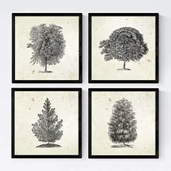POSTER Set mit 4 Blättern der Baumstamm in halben alten Papierhintergrund 20x20cm Schwarzer Rahmen