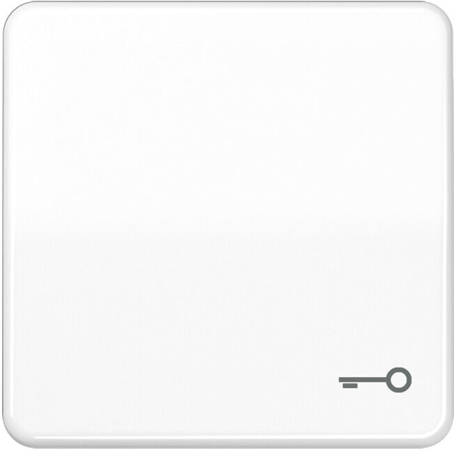 Jung Bascule Symbole PORTE aws pour bouton-poussoir CD 590 T WW (CD590TWW)