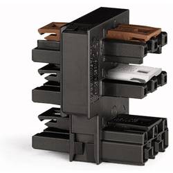 WAGO 770-688 Netz-Verteiler Netz-Stecker, Netz-Buchse, Netz-Buchse - Netz-Buchse, Netz-Buchse, Netz-Buchse Gesamtpolzahl: 3 Weiß 10 St. Package