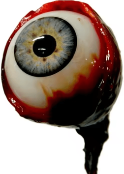 Inspire Curations Bloody Eyeball Halloween Props Fake Eyeballs Horror Decorations For Haunted Houses & Party Displays Bloody Eyeball Halloween Props Fake Eyeballs Horror Decorations For Haunted Houses & Party Displays