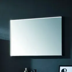 Puris Badezimmerspiegel Aspekt Spiegel Transparent