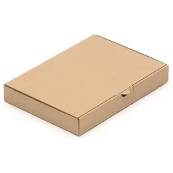 KK Verpackungen 25 Warensendungen 305 x 220 x 44 Maxibriefkarton Post Maxibrief Karton BRAUN