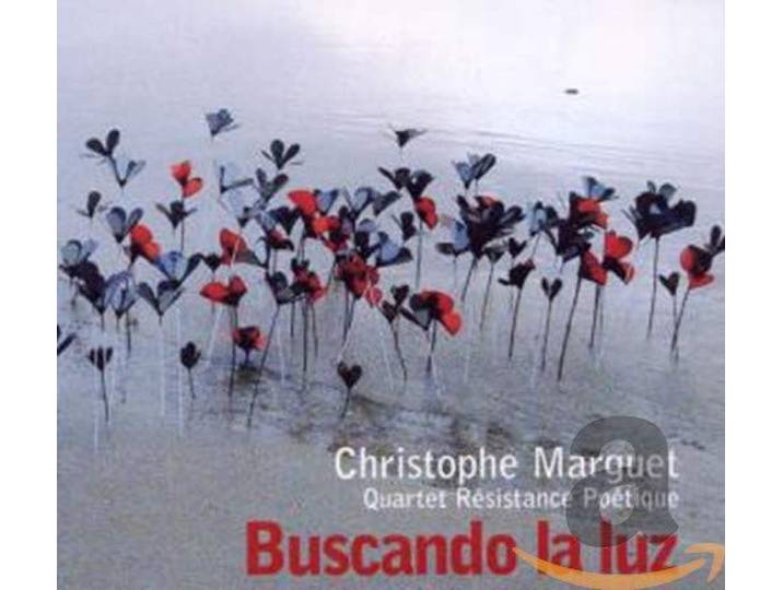 Buscando La Luz