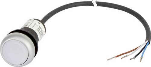 Eaton 185588 C22-DL-W-K10-24-P62 Drucktaster flach Weiß 1St.