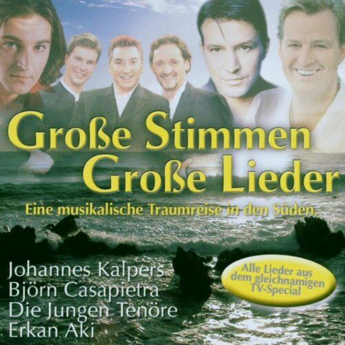 Various - Grosse Stimmen-Grosse Lieder - Preis vom 10.10.2026 11:48:34 h