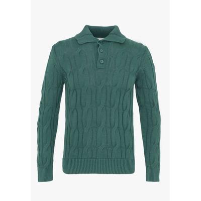 Polokragenpullover FELIX HARDY "Pullover mit Polo-Kragen", Herren, Gr. XXL, grün (dunkelgrün), 100% Baumwolle, Pullover