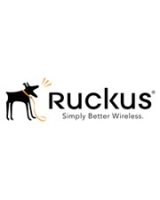 Ruckus 1 Lizenzen 1 Jahre Vor Ort Partner Support VSZD L3 Roaming 1 Year (S02-VSZD-1LL3)