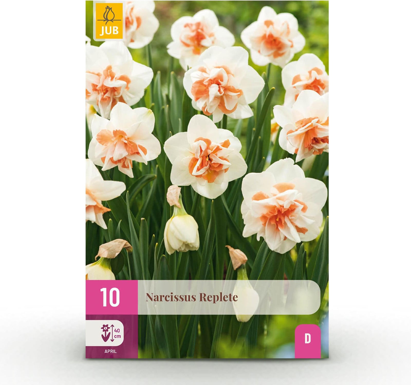 Narcis Replete bloembollen Wit en Oranje - 10 stuks - Pflanzenboutique
