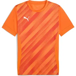 Puma, Herren, Sportshirt, teamGoal Graphic (L), Orange