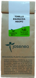 Josenea Echinacea Thymian Ysop Beutel zu 10 Briefumschläge