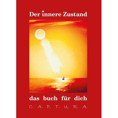 Der innere Zustand, Paperback von Andreas Reinhold, Wissenschaftliche Scripten, 978-3-95735-191-3