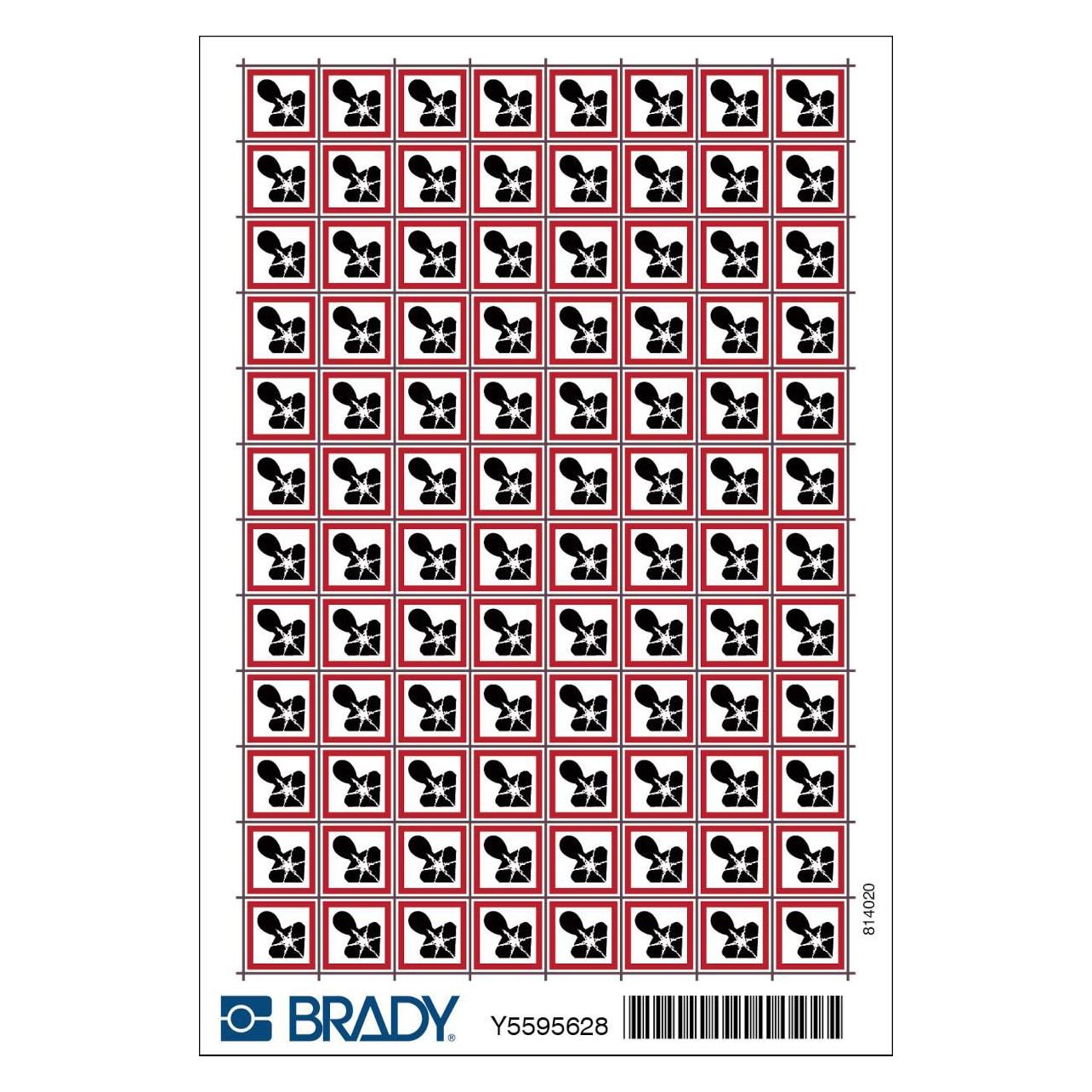 Brady Minipiktogramme Gefahrgutkennzeichnung (MINI PIC1807-10X10-GHS08/96)