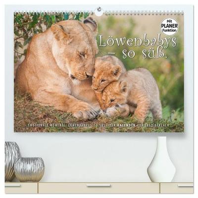 Emotionale Momente: Löwenbabys - so süß. (hochwertiger Premium Wandkalender 2027 DIN A2 quer), Kunstdruck in Hochglanz
