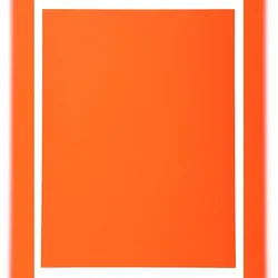 Exacompta 410007E 5x 100er Packung Aktendeckeln aus Recycling Karton 220g Forever, 24x32cm - Orange