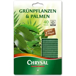 Chrysal Grünpflanzen & Palmen Düngestäbchen - 40 Stück