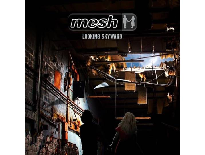 Mesh - Looking Skyward