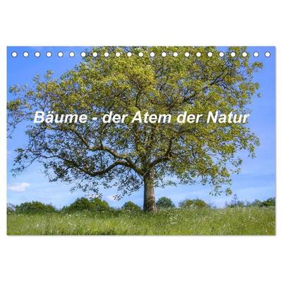 Bäume, der Atem der Natur (Tischkalender 2027 DIN A5 quer), CALVENDO Monatskalender